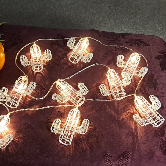 Cactus String of Lights & Faux Succulent - Picture 3 of 10